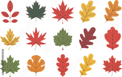 Collection of colorful autumn leaves in various shapes and colors isolated on white background, vector illustration.