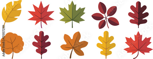 Collection of colorful autumn leaves in various shapes and colors isolated on white background, vector illustration.