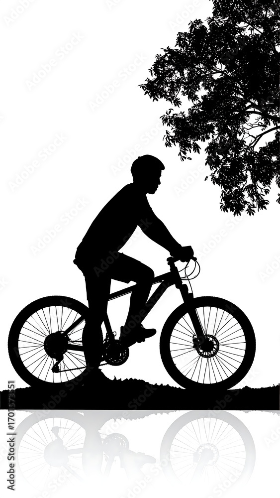 Fototapeta premium Silhouette of cyclist and tree