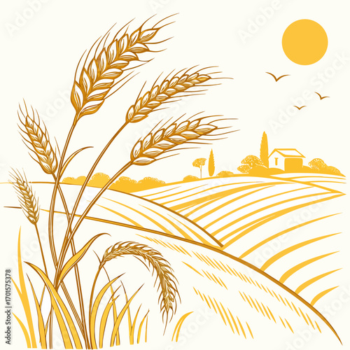 Vector art of golden wheat field landscape illustration, depicting a tranquil rural scene with rolling hills, a bright sun, and a charming farmhouse in the distance