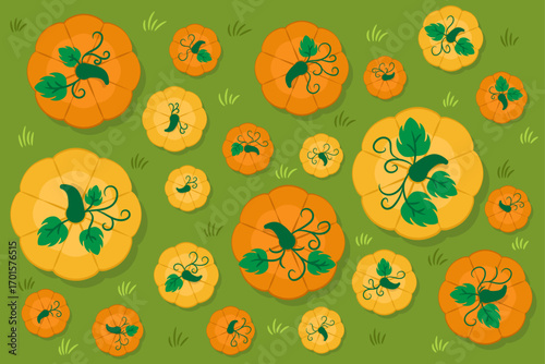 Vector illustration of a pumpkin wallpaper seen from above in a grassy field