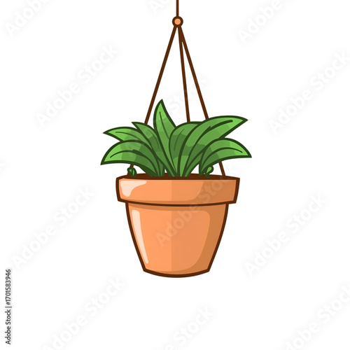 Plants in a pot