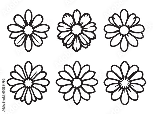 Aster elegant bloom symbol of love