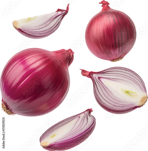 red onion isolated on white background