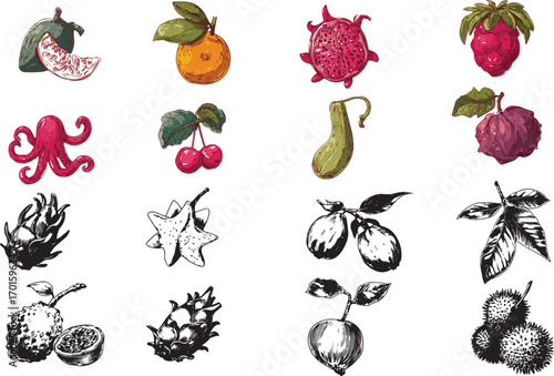 A vibrant vector illustration of a healthy fruit and berry collection with icons of fresh apples, strawberries, cherries, and oranges