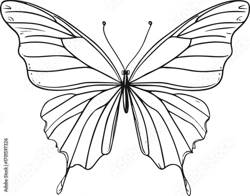 minimal line art of butterfly wings spread open, thin black stroke, white background, light and airy 3