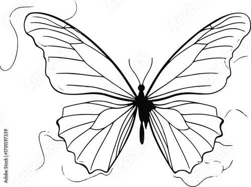 minimal line art of butterfly wings spread open, thin black stroke, white background, light and airy