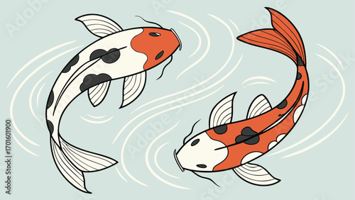 Two beautiful japanese koi fish swimming in a graceful, swirling pattern, symbolizing luck, prosperity, and harmony in a serene aquatic setting
