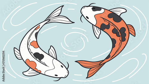 Two colorful japanese koi fish swimming in a circular pattern, symbolizing balance, harmony, and good fortune in water