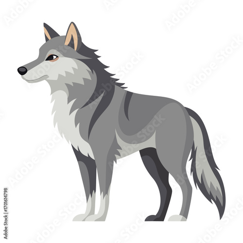 Gray wolf cartoon animal. Vector illustration of wild wolf isolated on white background. Cute woodland predator for children’s books, design, and print.