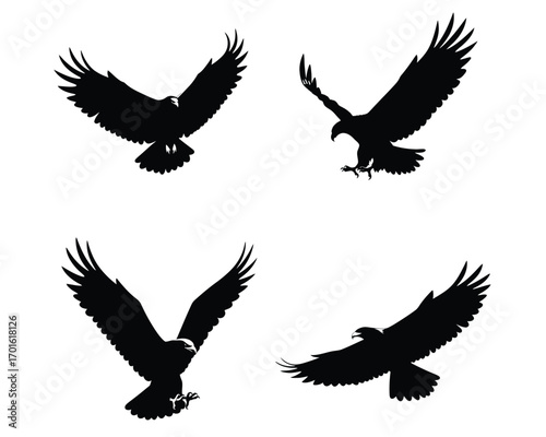 Four distinct black silhouette illustrations of majestic eagles in various dynamic flight poses against a clean white background