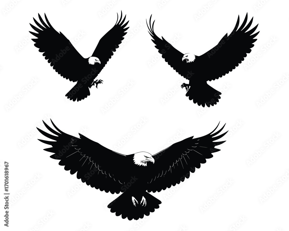 Obraz premium Three silhouettes of bald eagles in flight showing different wing positions against a white background