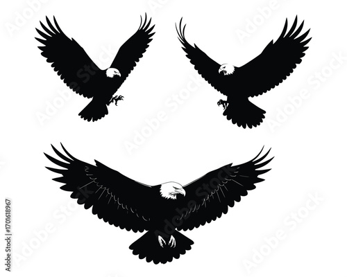 Three silhouettes of bald eagles in flight showing different wing positions against a white background