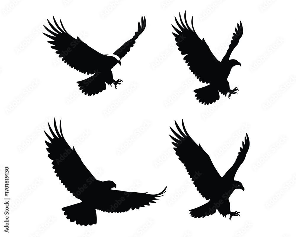 Fototapeta premium Four black silhouette eagles in flight captured from different angles showcasing their majestic wingspan and predatory nature against a white background