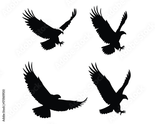 Four black silhouette eagles in flight captured from different angles showcasing their majestic wingspan and predatory nature against a white background