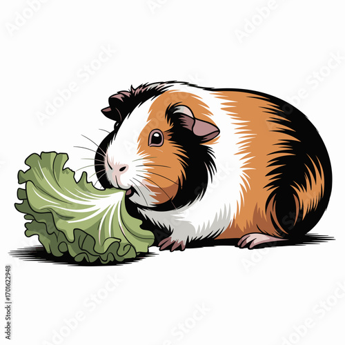 Cute Cartoon Guinea Pig Eating Lettuce