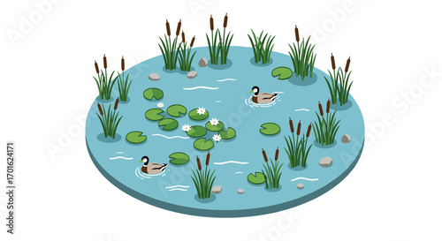Isometric pond scene with ducks, lilies, and tall reeds in tranquil blue water