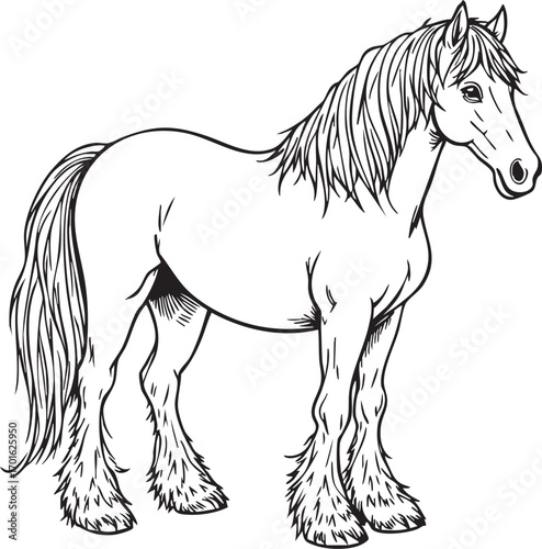Draft horse profile black and white line art illustration featuring long mane, tail, shaggy hooves, and detailed anatomy