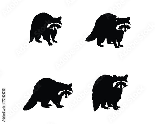 Set of four black silhouette illustrations of raccoons in different poses on a white background for graphic design