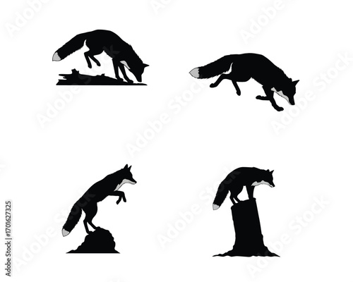 Four silhouettes of foxes in dynamic poses illustrating hunting and alertness against a white background