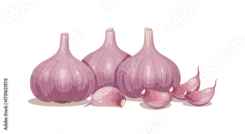 Realistic purple garlic bulbs and cloves on white background