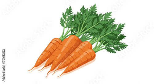 Fresh carrots with green leaves on white background