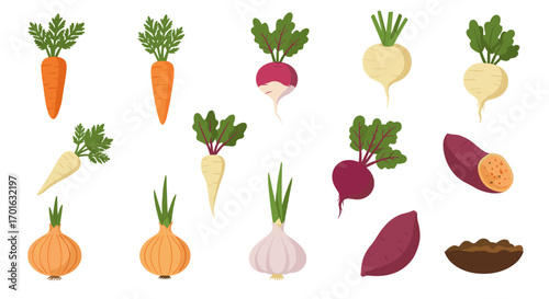 Colorful root vegetables collection featuring flat style illustrations on white background