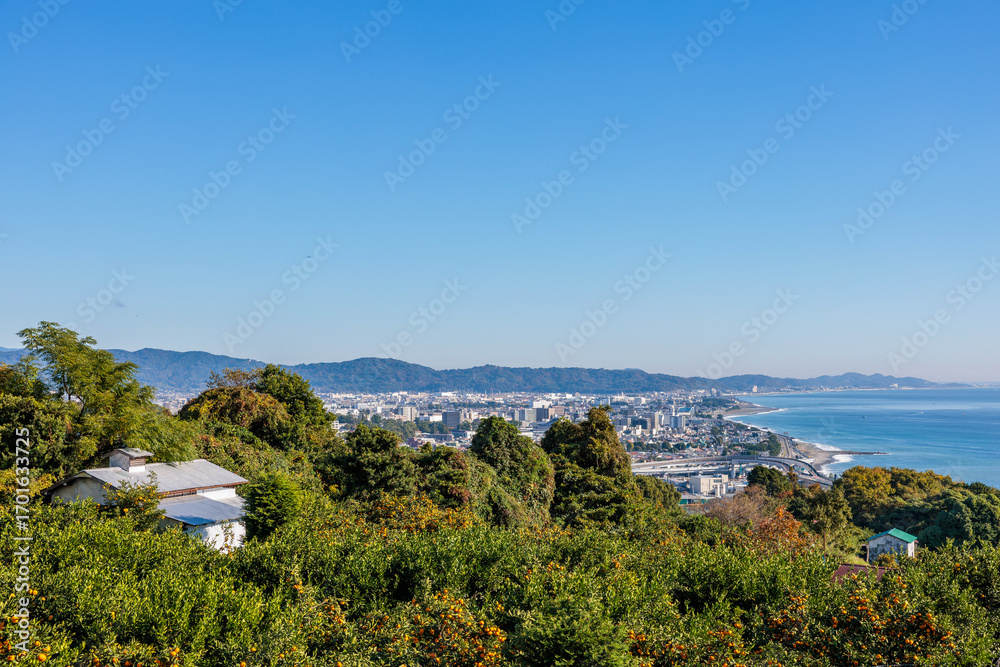 Fototapeta premium Odawara city seen from the mandarin orange field.