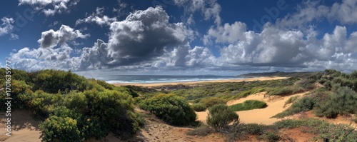 Coastal dune landscape with a vast expanse of ocean and sky.  Panoramic view