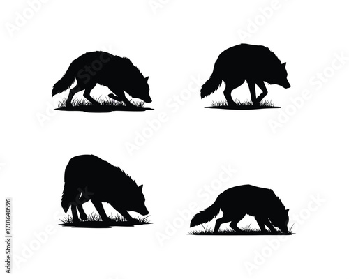 Four distinct black silhouette illustrations of a wolf in various foraging or sniffing poses on a white background