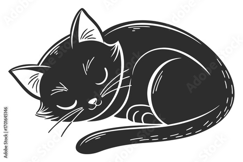 Adorable Black Cat Sleeping Curled Up.