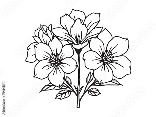 Gardenia flowers brighten every garden space
