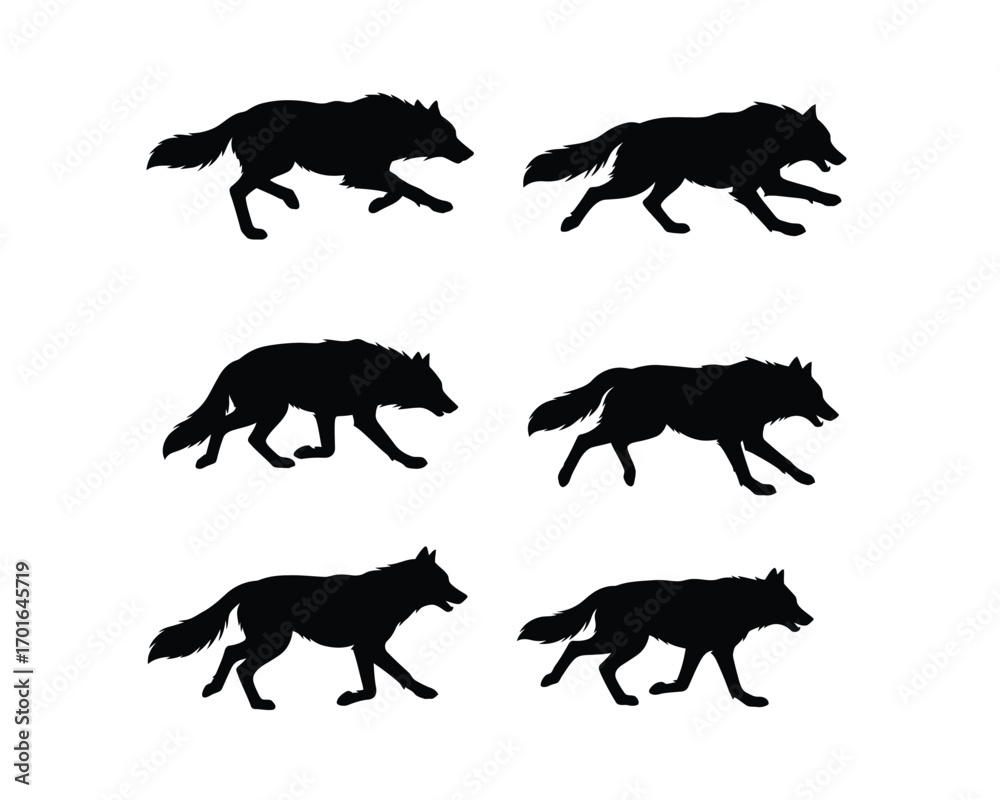 Obraz premium Collection of six dynamic black wolf silhouettes in various running poses on a clean white background