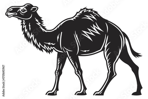 Black Silhouette of a Camel.