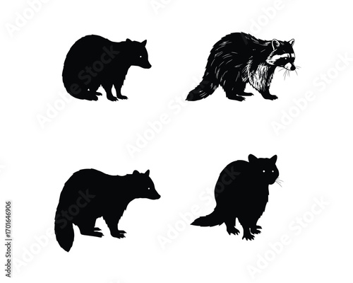 Four distinct black silhouette illustrations of raccoons in various poses against a white background