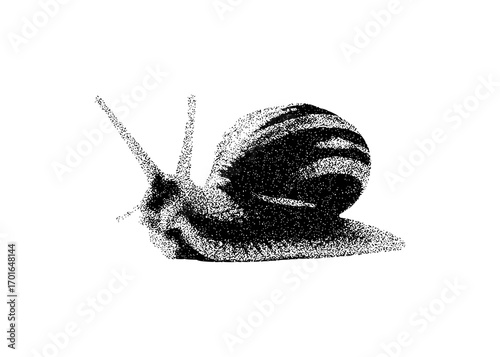 Stippled Snail Illustration on White Background