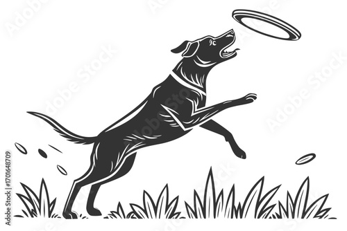 Energetic Dog Leaping to Catch Flying Disc.