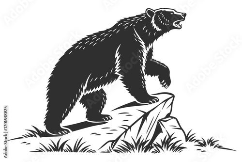 Ferocious Grizzly Bear Roaring on Rocky Outcrop.
