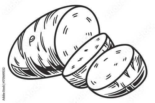Handdrawn illustration of sliced potato.