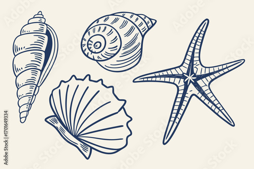 HandDrawn Collection of Nautical Seashells and Starfish.