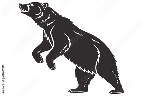 Silhouette of a Bear Standing on Hind Legs.