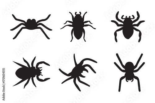 Six Black Spider Silhouettes on White Background insect