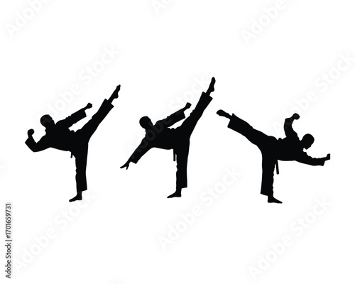 Dynamic silhouettes of three martial artists performing high kicks in synchronized combat training and athletic discipline