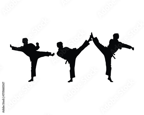 Silhouettes of three martial artists performing dynamic high kicks in unison against a clean white background showcasing athletic movement