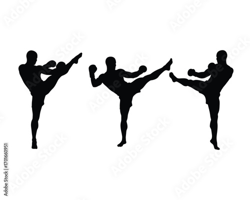 Silhouette of three martial artists performing dynamic high kicks in a synchronized fighting stance against a white background