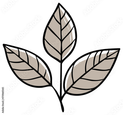 Stylized Plant Illustration with Three Beige Leaves and Dark Outlines for Design Elements