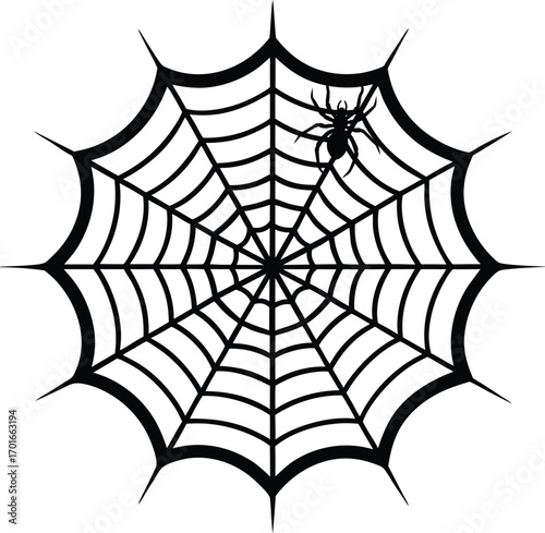 spider and web silhouette