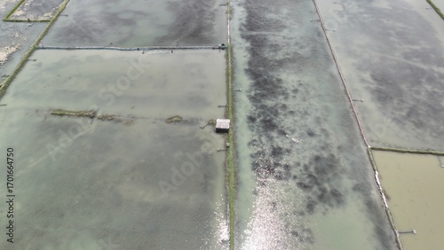 Aerial picture of Shrimp Farm with Traditional Straw Hut in Rural Bangladesh