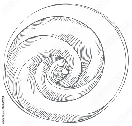 Swirl pattern sketch in monochrome a vector decorative element a circular design of vortex