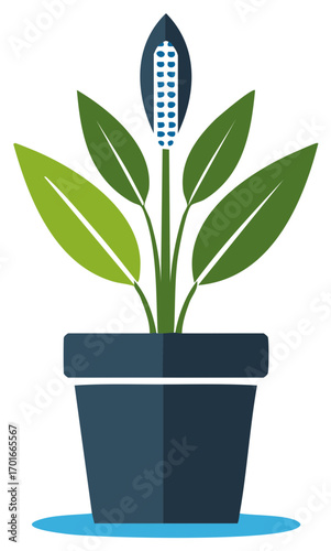 Stylish graphic showing a peace lily flower houseplant in a pot with large green leaves